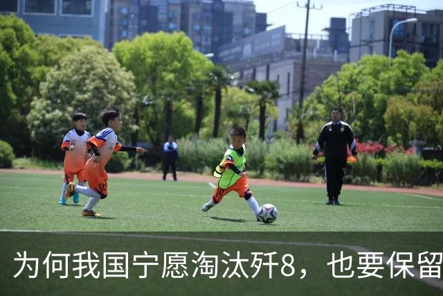 为何我国宁愿淘汰歼8，也要保留240架歼7？背后真相究竟是啥？