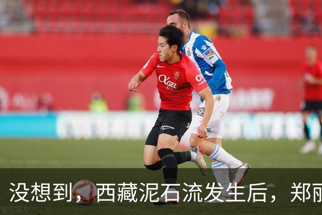 没想到，西藏泥石流发生后，郑丽文竟因一个举动赚足大陆口碑